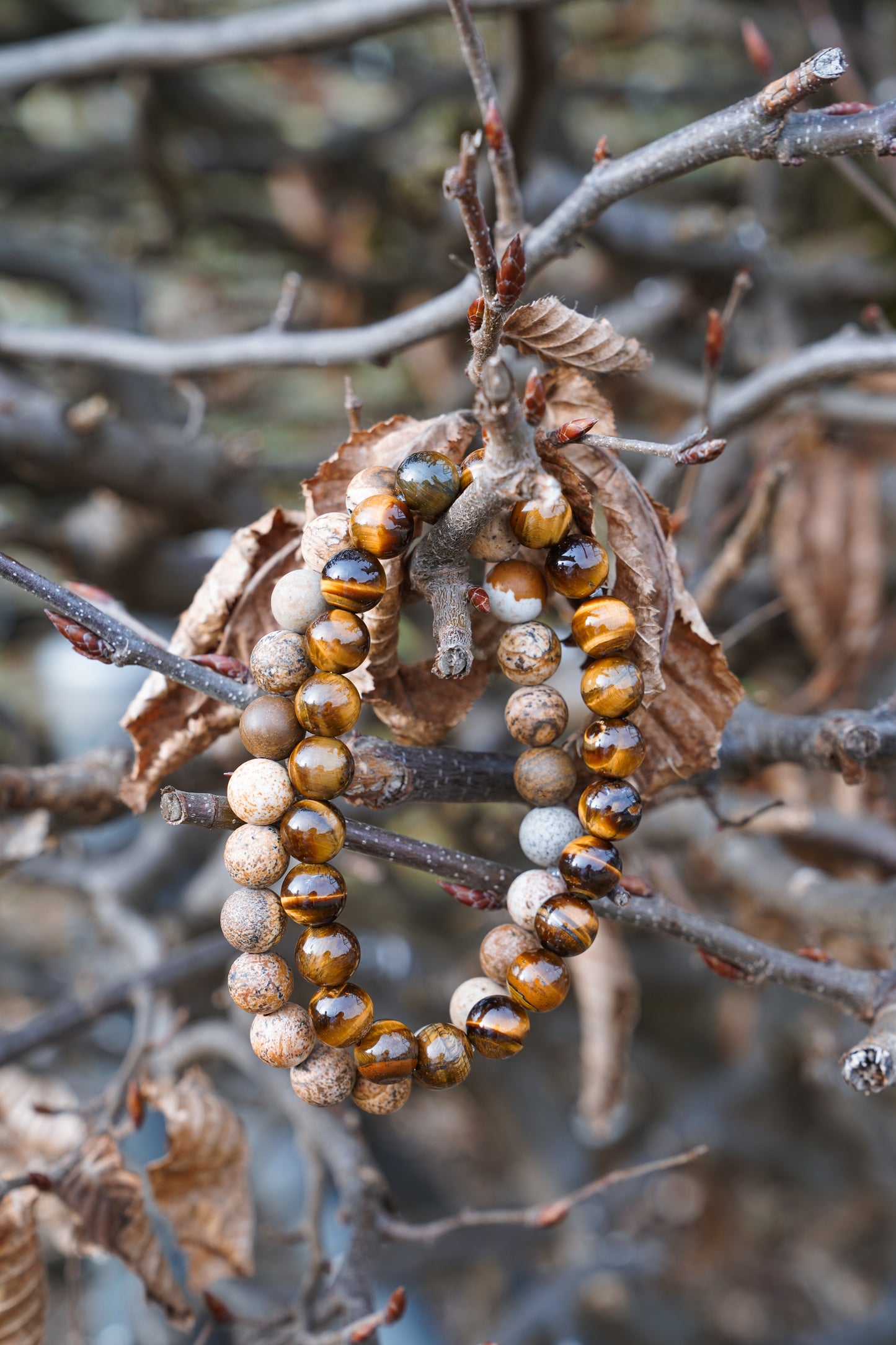 Picture Jasper-Armband